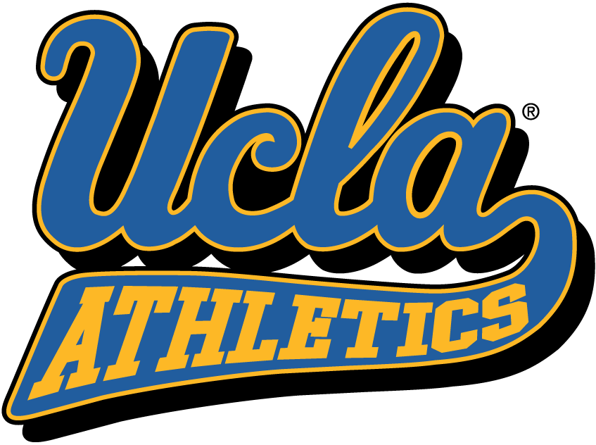 UCLA Bruins 1973-Pres Alternate Logo v2 diy fabric transfer